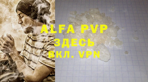 индика Алексин