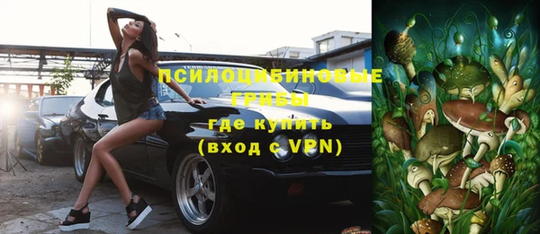 амф Абинск