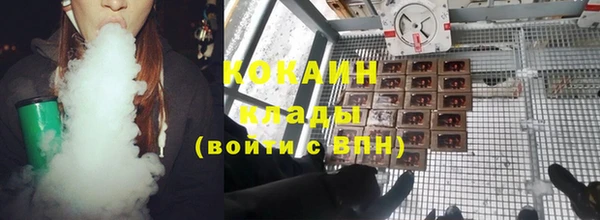 индика Алексин