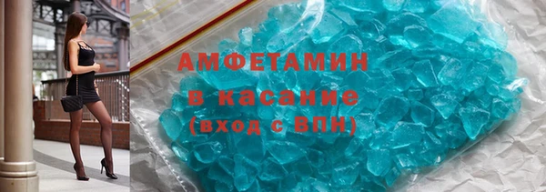 индика Алексин