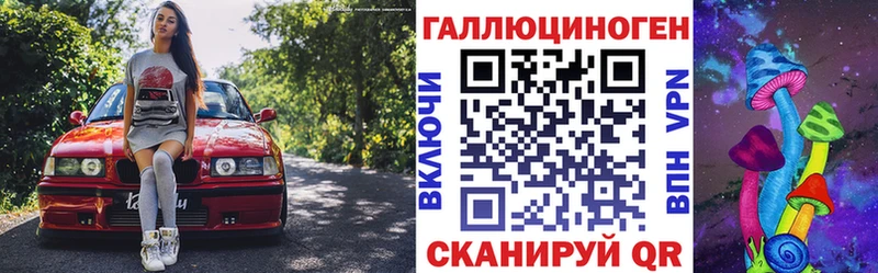 купить   Лысково  Псилоцибиновые грибы Psilocybine cubensis 